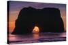 Sunset at Elephant Rock, Mendocino Coast California-Vincent James-Stretched Canvas
