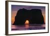 Sunset at Elephant Rock, Mendocino Coast California-Vincent James-Framed Photographic Print