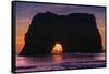 Sunset at Elephant Rock, Mendocino Coast California-Vincent James-Framed Stretched Canvas