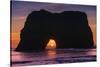 Sunset at Elephant Rock, Mendocino Coast California-Vincent James-Stretched Canvas