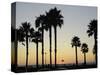 Sunset at Hermosa Beach, Los Angeles County, California, United States of America, North America-Aaron McCoy-Stretched Canvas