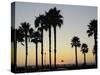 Sunset at Hermosa Beach, Los Angeles County, California, United States of America, North America-Aaron McCoy-Stretched Canvas