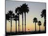 Sunset at Hermosa Beach, Los Angeles County, California, United States of America, North America-Aaron McCoy-Mounted Photographic Print
