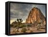Sunset at Joshua Tree National Park in Southern California-Kyle Hammons-Framed Stretched Canvas