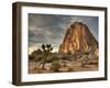 Sunset at Joshua Tree National Park in Southern California-Kyle Hammons-Framed Premium Photographic Print