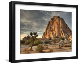 Sunset at Joshua Tree National Park in Southern California-Kyle Hammons-Framed Premium Photographic Print