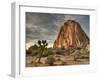 Sunset at Joshua Tree National Park in Southern California-Kyle Hammons-Framed Premium Photographic Print