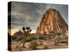 Sunset at Joshua Tree National Park in Southern California-Kyle Hammons-Stretched Canvas