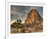 Sunset at Joshua Tree National Park in Southern California-Kyle Hammons-Framed Photographic Print