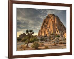 Sunset at Joshua Tree National Park in Southern California-Kyle Hammons-Framed Photographic Print