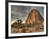 Sunset at Joshua Tree National Park in Southern California-Kyle Hammons-Framed Photographic Print