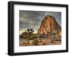 Sunset at Joshua Tree National Park in Southern California-Kyle Hammons-Framed Photographic Print