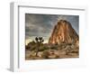 Sunset at Joshua Tree National Park in Southern California-Kyle Hammons-Framed Photographic Print