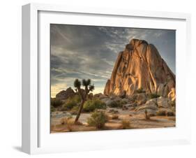 Sunset at Joshua Tree National Park in Southern California-Kyle Hammons-Framed Photographic Print