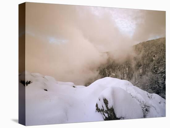 Sunset at Kandel Mountain, Black Forest, Baden Wurttemberg, Germany, Europe-Marcus Lange-Stretched Canvas