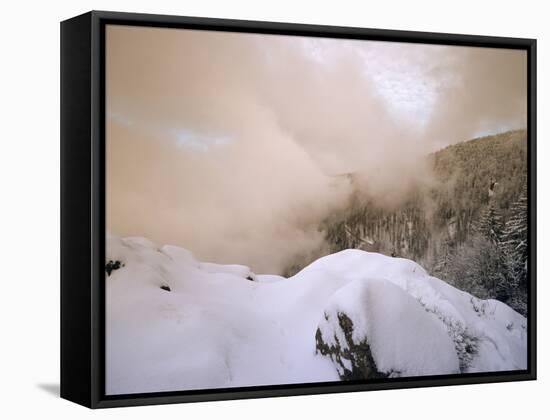 Sunset at Kandel Mountain, Black Forest, Baden Wurttemberg, Germany, Europe-Marcus Lange-Framed Stretched Canvas