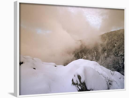 Sunset at Kandel Mountain, Black Forest, Baden Wurttemberg, Germany, Europe-Marcus Lange-Framed Photographic Print