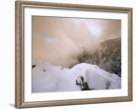 Sunset at Kandel Mountain, Black Forest, Baden Wurttemberg, Germany, Europe-Marcus Lange-Framed Photographic Print