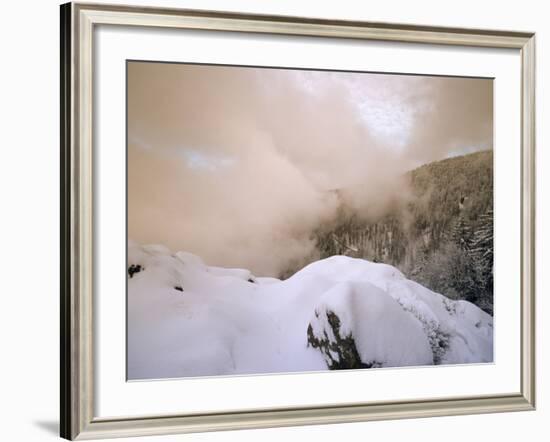 Sunset at Kandel Mountain, Black Forest, Baden Wurttemberg, Germany, Europe-Marcus Lange-Framed Photographic Print