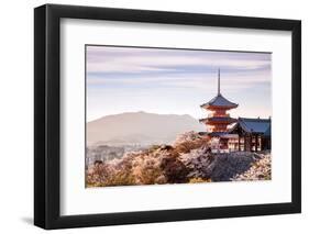 Sunset at Kiyomizu-Dera Temple and Cherry Blossom Season (Sakura) on Spring Time in Kyoto, Japan-thipjang-Framed Photographic Print