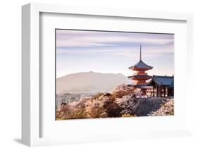 Sunset at Kiyomizu-Dera Temple and Cherry Blossom Season (Sakura) on Spring Time in Kyoto, Japan-thipjang-Framed Photographic Print