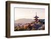 Sunset at Kiyomizu-Dera Temple and Cherry Blossom Season (Sakura) on Spring Time in Kyoto, Japan-thipjang-Framed Photographic Print