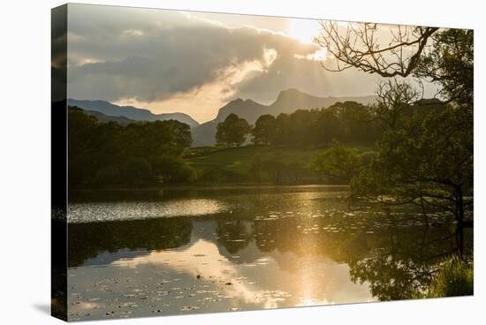 Sunset at Loughrigg Tarn Near Ambleside, Lake District National Park, Cumbria-Alex Treadway-Stretched Canvas