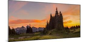 Sunset at Mazama Ridge Above Paradise, Mt. Rainier, Washington, USA-Gary Luhm-Mounted Photographic Print