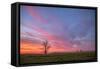 Sunset at Merced Wildlife Area, Central California-null-Framed Stretched Canvas