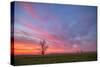 Sunset at Merced Wildlife Area, Central California-null-Stretched Canvas