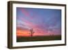 Sunset at Merced Wildlife Area, Central California-null-Framed Photographic Print