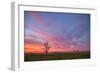 Sunset at Merced Wildlife Area, Central California-null-Framed Photographic Print