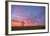 Sunset at Merced Wildlife Area, Central California-null-Framed Photographic Print