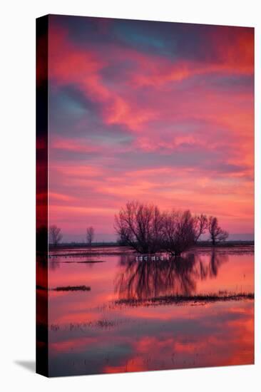 Sunset at Merced Wildlife Area-null-Stretched Canvas