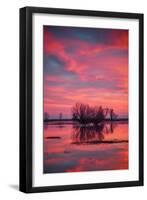 Sunset at Merced Wildlife Area-null-Framed Photographic Print