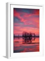 Sunset at Merced Wildlife Area-null-Framed Photographic Print