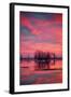 Sunset at Merced Wildlife Area-null-Framed Photographic Print