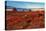 Sunset at Monument Valley, Arizona-lucky-photographer-Stretched Canvas