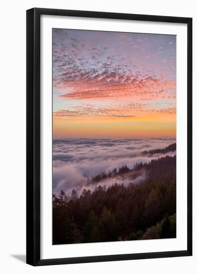 Sunset at Mount Tamalpais, Marin County, San Francisco-Vincent James-Framed Premium Photographic Print