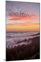 Sunset at Mount Tamalpais, Marin County, San Francisco-Vincent James-Mounted Premium Photographic Print