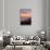 Sunset at Mount Tamalpais, Marin County, San Francisco-Vincent James-Stretched Canvas displayed on a wall