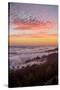 Sunset at Mount Tamalpais, Marin County, San Francisco-Vincent James-Stretched Canvas