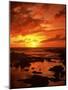 Sunset at Napili Point, Maui, Hawaii, USA-Charles Gurche-Mounted Photographic Print