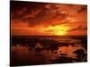 Sunset at Napili Point, Maui, Hawaii, USA-Charles Gurche-Stretched Canvas