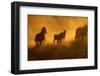 Sunset at Okaukeujo, Namibia-Grobler du Preez-Framed Photographic Print