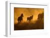 Sunset at Okaukeujo, Namibia-Grobler du Preez-Framed Photographic Print