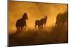 Sunset at Okaukeujo, Namibia-Grobler du Preez-Mounted Photographic Print