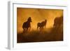 Sunset at Okaukeujo, Namibia-Grobler du Preez-Framed Photographic Print