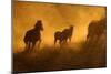 Sunset at Okaukeujo, Namibia-Grobler du Preez-Mounted Photographic Print