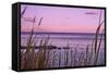 Sunset at Outer Banks, near Corolla-Martina Bleichner-Framed Stretched Canvas